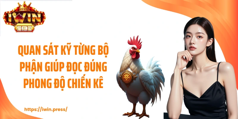 Quan sát kỹ từng bộ phận giúp đọc đúng phong độ chiến kê